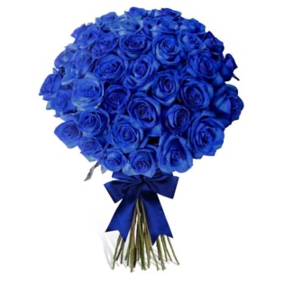 Розы Эквадор синие
